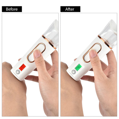 Mini Facial Steamer